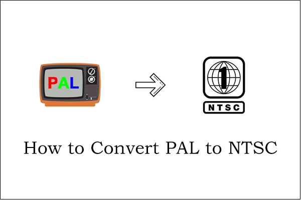 Two Professional Converters How To Convert Pal To Ntsc