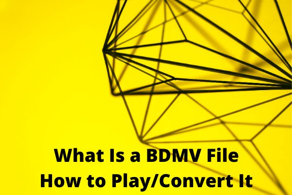 What Is a BDMV File & How to Play/Convert BDMV Files