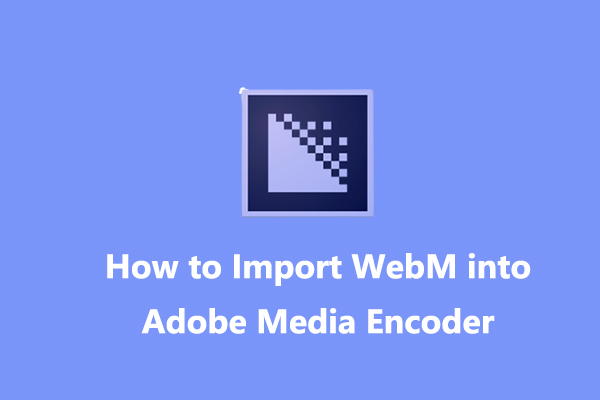 Does Adobe Media Encoder Support WebM & How to Import WebM into AME