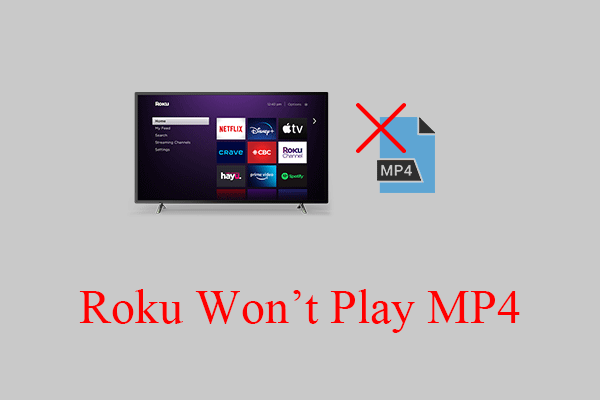 9 Solutions for the Roku Won’t Play MP4 Problem