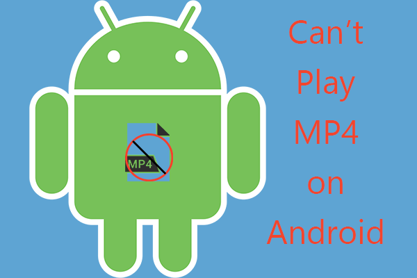 Fix the “Can’t Play MP4 on Android” Issue with Various Methods