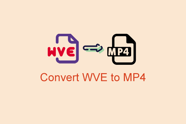 Top 2 Ways to Convert WVE to MP4 Efficiently and Smoothly