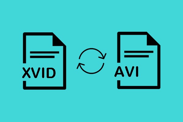 How to Convert XVID to AVI and Vice Versa – Detailed Steps