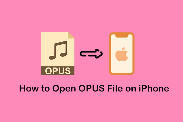 How to Open OPUS File on iPhone without Any Hassle? Solved!